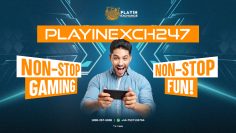 Playinexch247